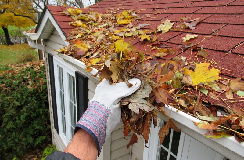 Gutter Pine Needle Removal in Richmond, VA