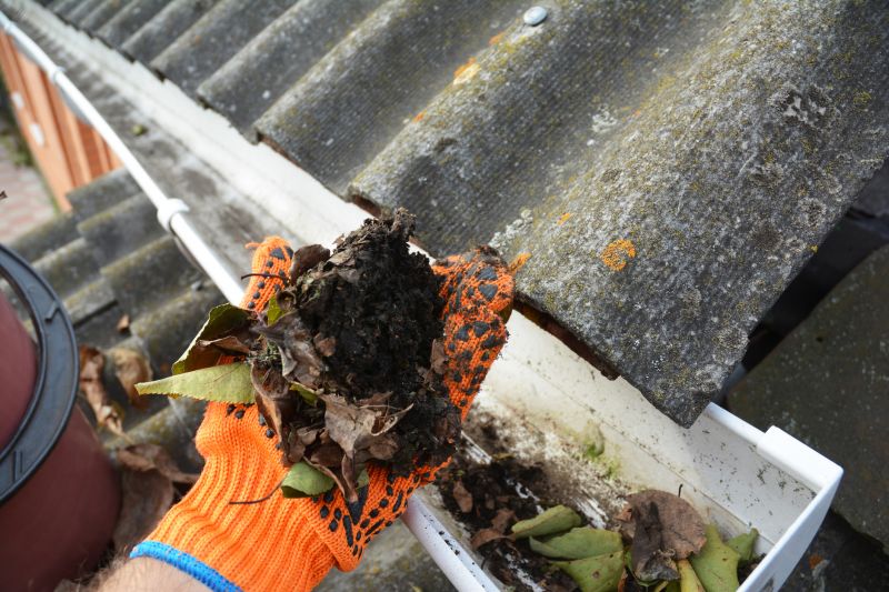 Rain Gutter Clearing in Bergen County, NJ