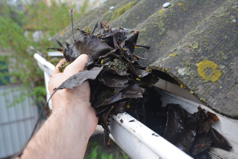 Roof Gutter Cleaning in Annapolis, MD